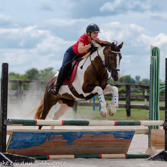 Meet your Posher, Julie - Picture 1 of 1